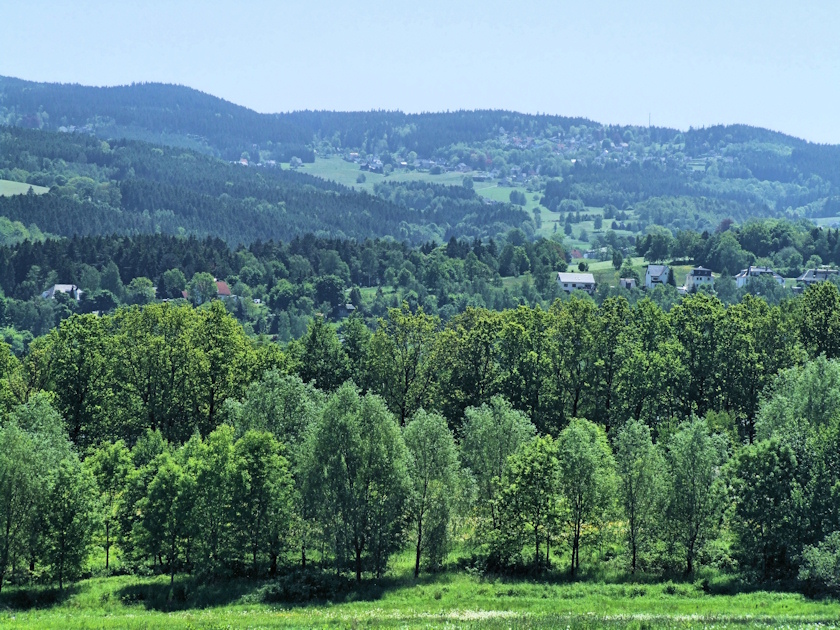 Blick von Auerbach Richtung Beerheide