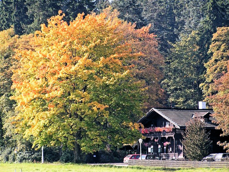 die Wildgastst&auml;tte Kladsk&aacute;