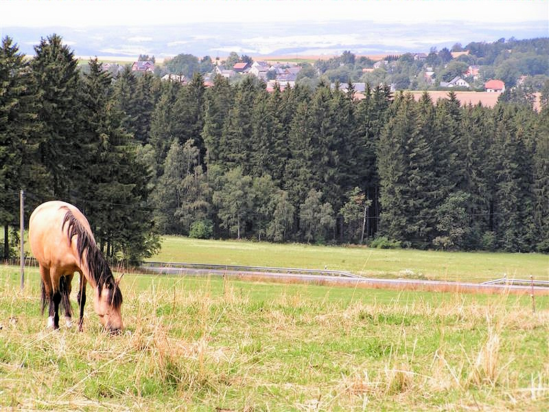 Neudorf Ausblick