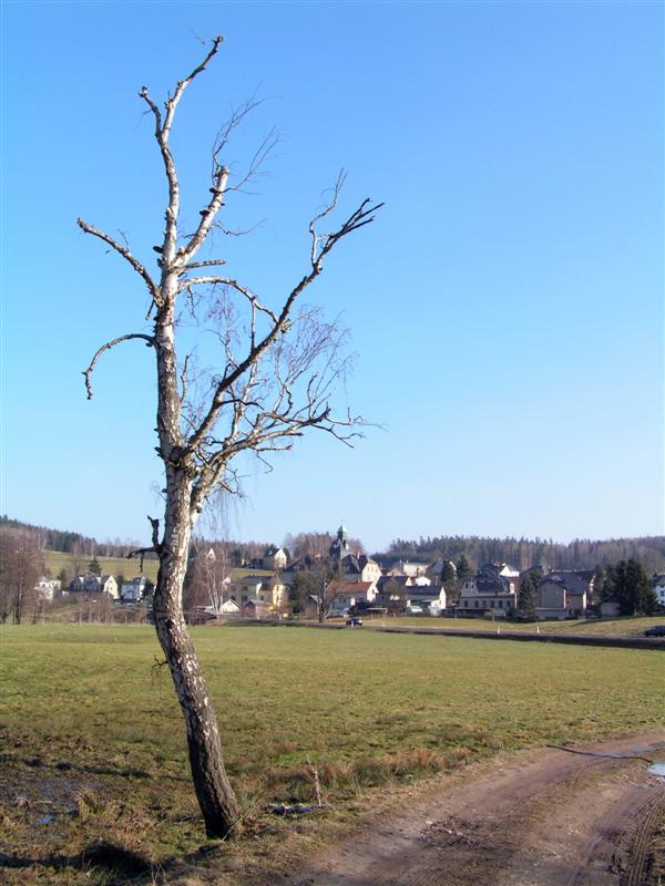 Blick auf Schreiersgr&uuml;n