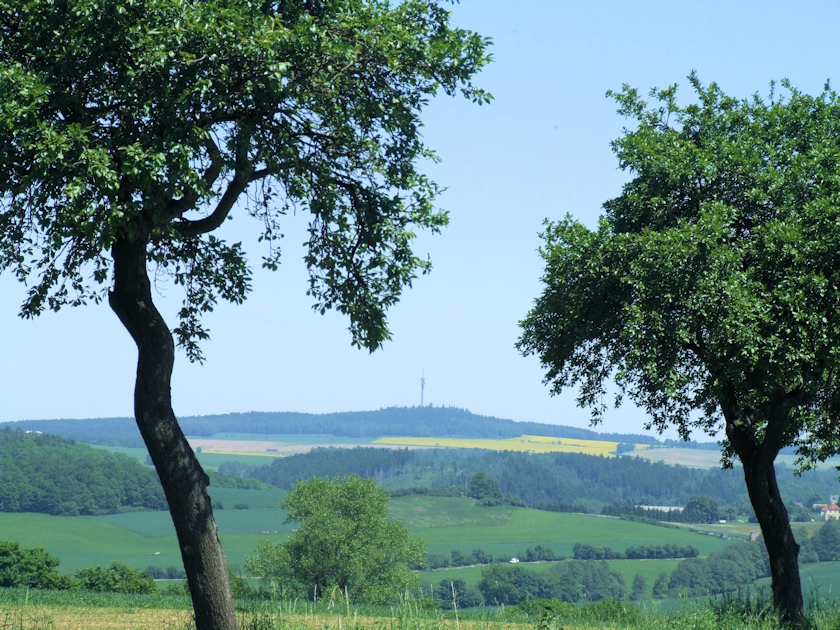 Blick zum Kuhberg bei Netzschkau.