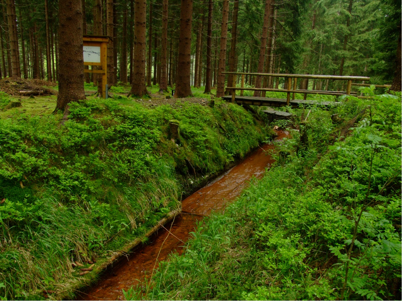 Muldenberg, Floßrutsche