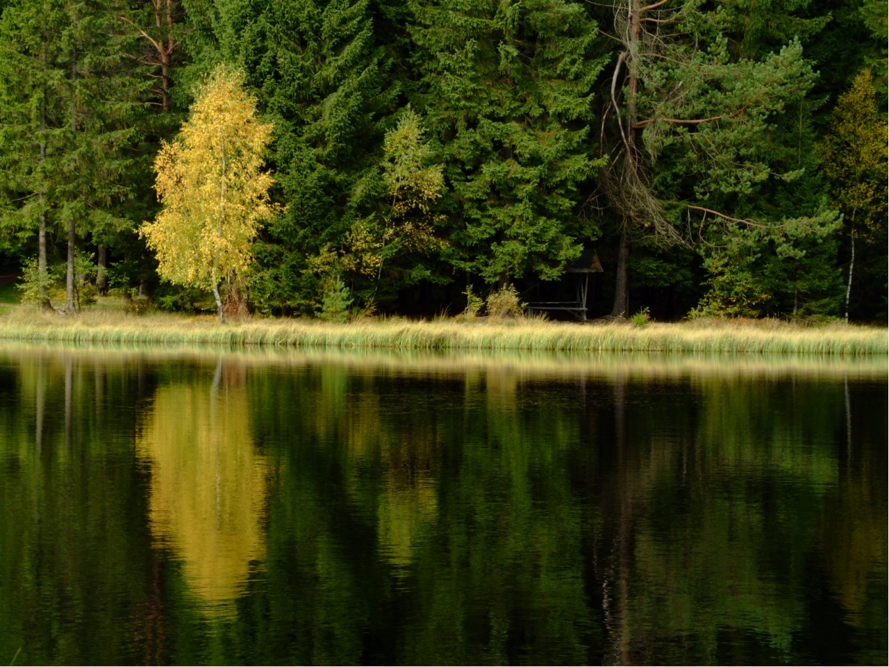 Jägersgrün, Vogtlandsee
